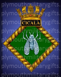 HMS Cicala Magnet